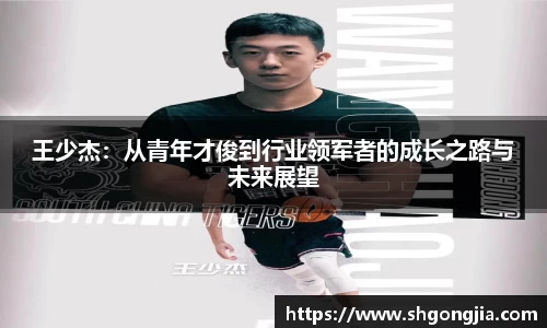 王少杰：从青年才俊到行业领军者的成长之路与未来展望