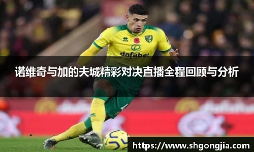 乐虎